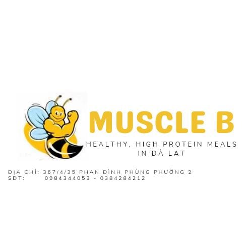 Muscle B